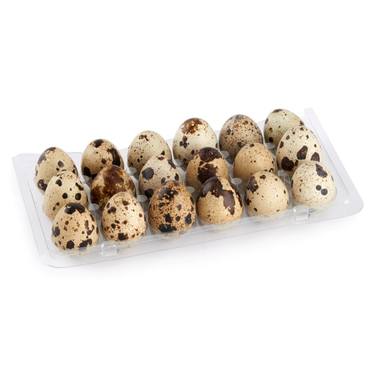 Boite d'oeuf de cailles (U)