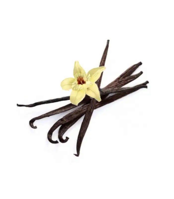 Madagascar vanilla beans in morocco (kg)