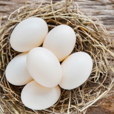 Beldi eggs (U)