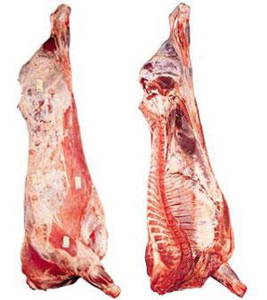 Beef carcass (kg)