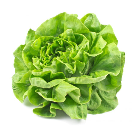 Lettuce (U)