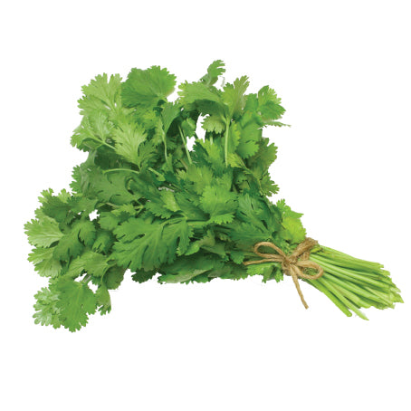 Coriander (U)
