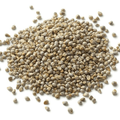 Graines de millet (kg)
