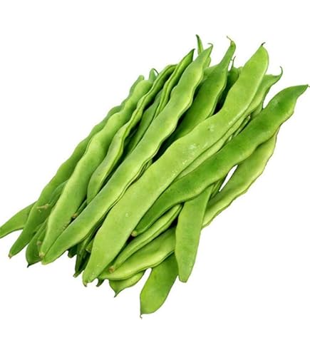 Merveille de venise beans (kg)