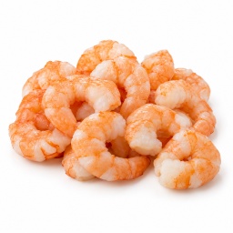 [LP-1031] Cooked peeled shrimp