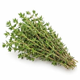 [LP-1103] Thyme