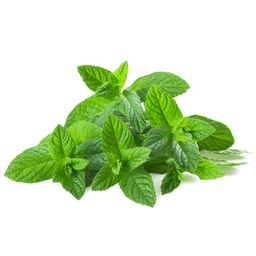 [LP-21] Menthe (U)