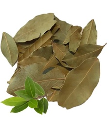 [LP-221] Feuilles de laurier au Maroc (kg)