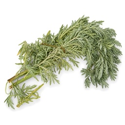 [LP-238] Wormwood (U)