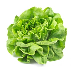 [LP-30] Lettuce (U)