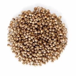 [LP-306] Coriander seeds (kg)
