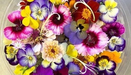 [LP-31] Fleur comestible (U)