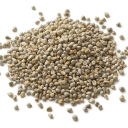 [LP-336] Graines de millet (kg)