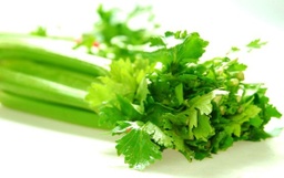 [LP-35] Celery (U)