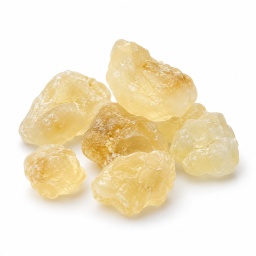 [LP-851] Mastic gum