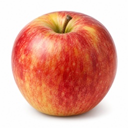 [LP-957] Pomme Gala